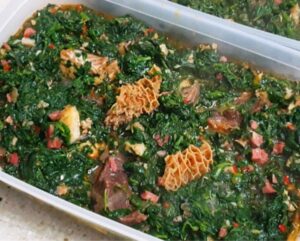 VEGETABLE SOUP without PROTEIN